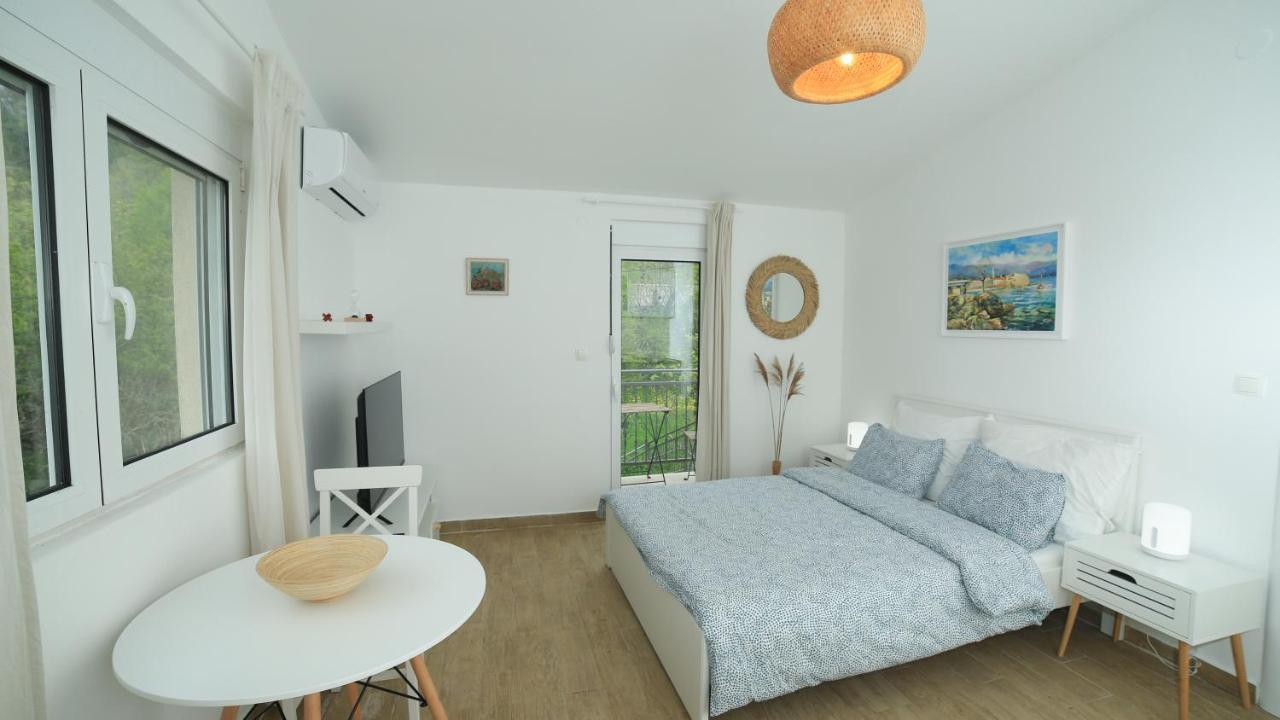 Plamenatz Studio Apartments Virpazar Luaran gambar