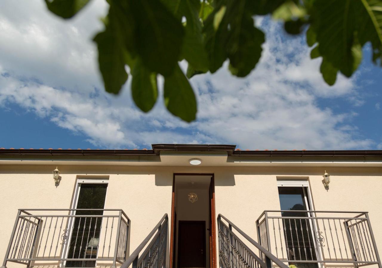 Plamenatz Studio Apartments Virpazar Luaran gambar